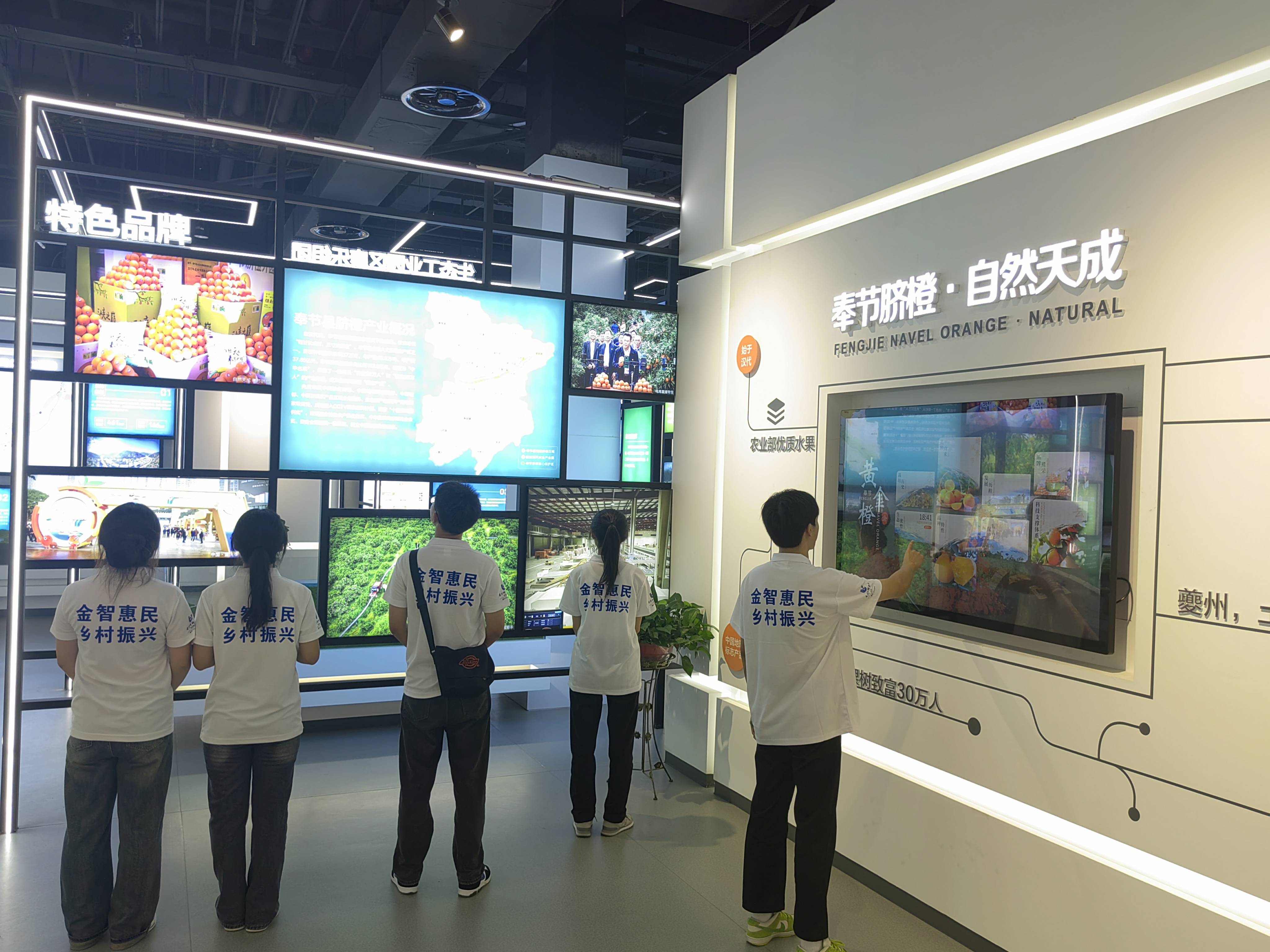 回顾厚重历史人文,展望城市未来发展