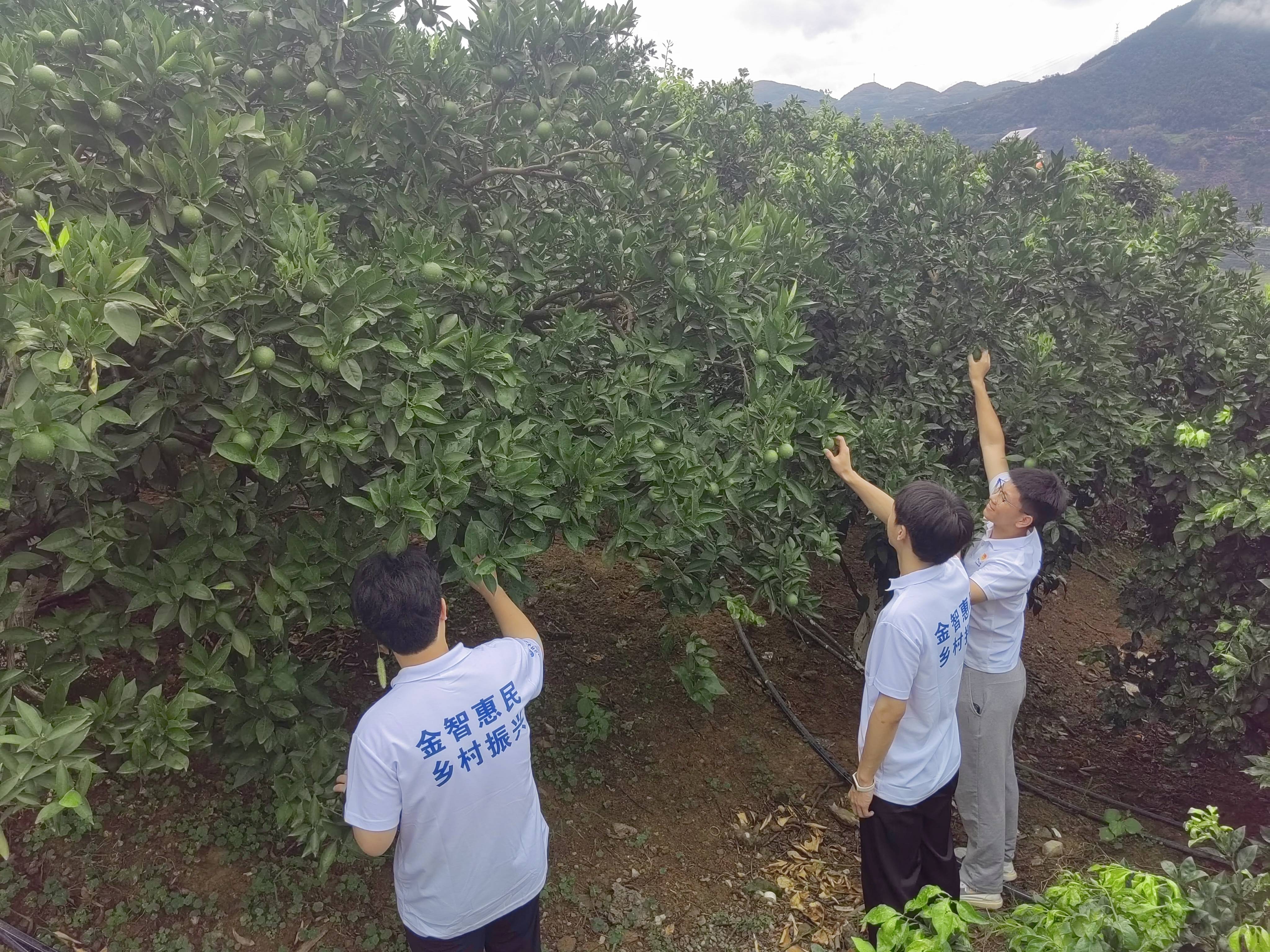 争当红岩先锋,创建和美大坝